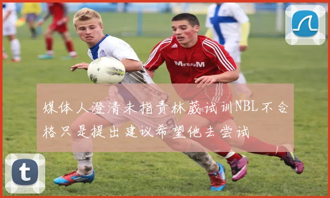 媒体人澄清未指责林葳试训NBL不合格只是提出建议希望他去尝试