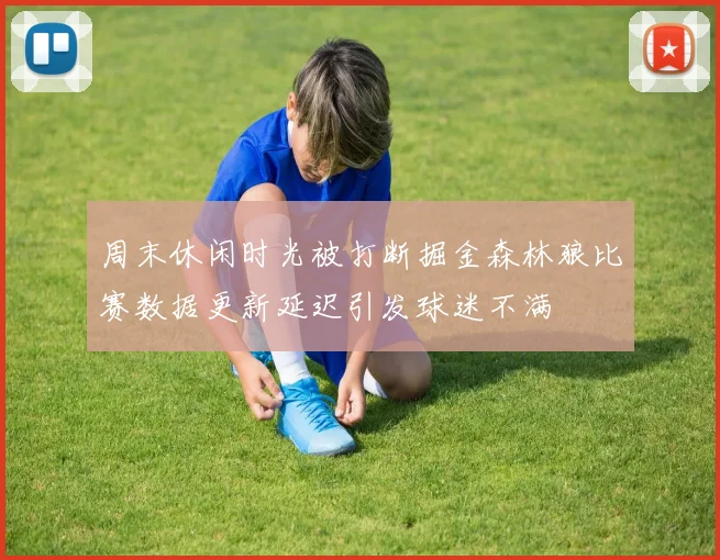 周末休闲时光被打断掘金森林狼比赛数据更新延迟引发球迷不满