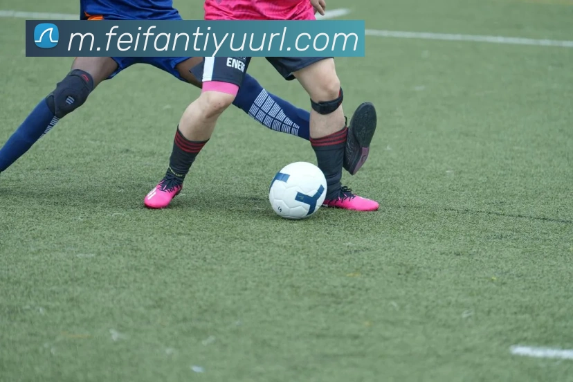 非凡体育平台生态图